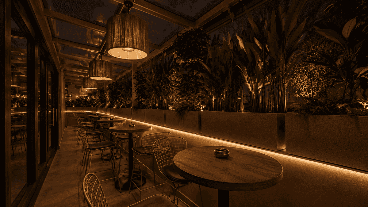 Noba gallery image 4